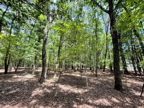 軽井沢町土地 706坪 住宅用地